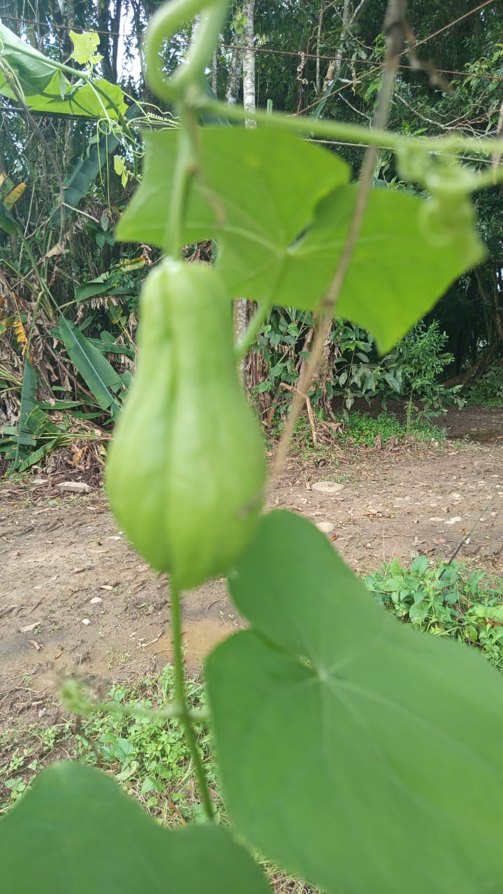 Foto 12